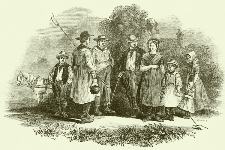 Thomas Hardy, Clothing and the Natural World | Professor Emerita Rachel Worth