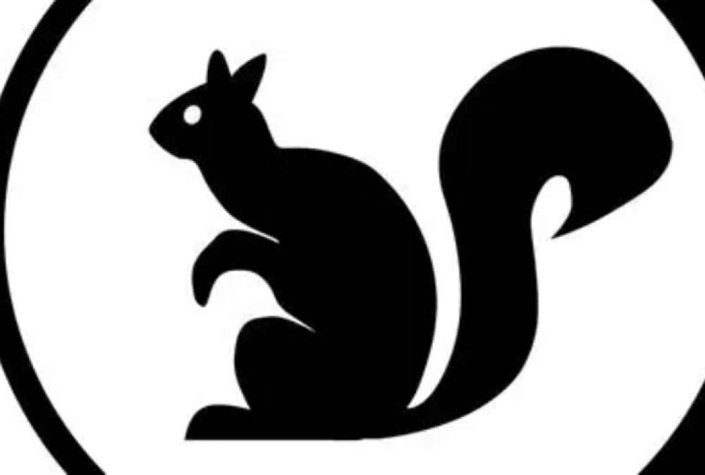 Black Squirrel Credit Union 