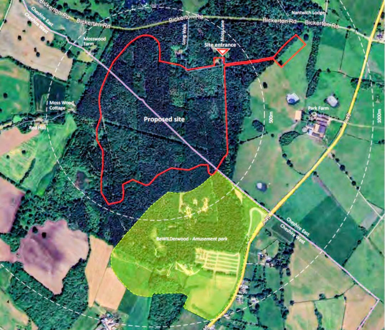 69 holiday cabins are proposed for Moss Wood on the Cholmondeley Estate near Nantwich (Photo: Lanarca).