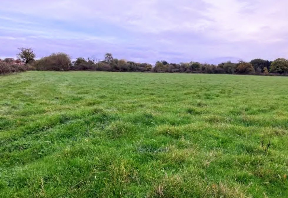 Seddon Homes wants to build the 275 properties on land to the east of Broad Lane at Stapeley (Photo: Seddon Homes).