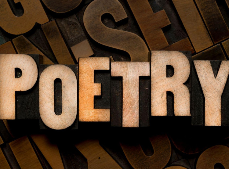 Writing Poetry: Voice, Craft and Conversation  - 6 week course