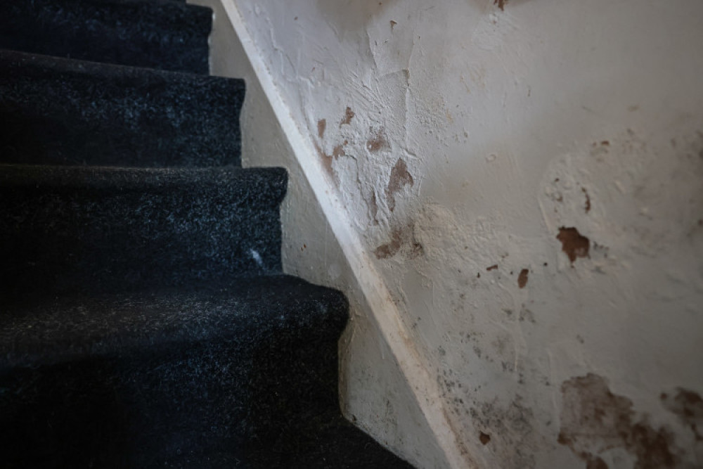 Councillors say they receive a lot of concerns about mould (Image - Kenny Brown / LDRS)