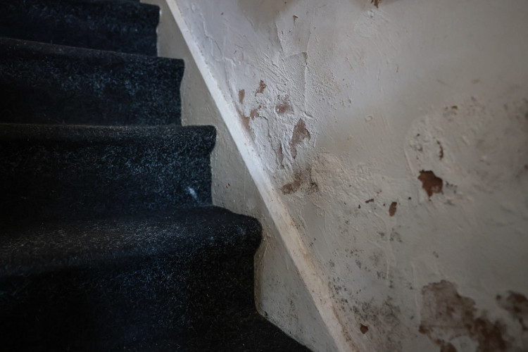 Councillors say they receive a lot of concerns about mould (Image - Kenny Brown / LDRS)