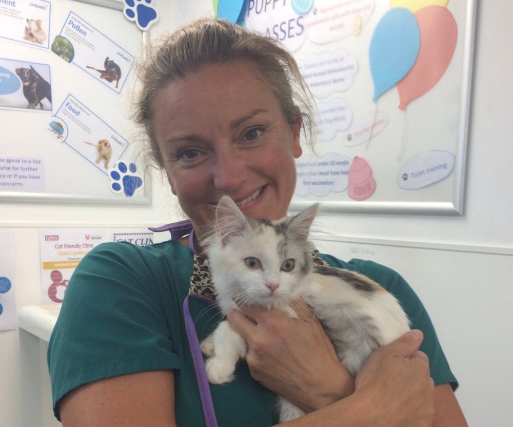 Nurture Vet Hospital in Wells launches dedicated cat-only clinics every Monday. (Photo: Nurture Vets) 