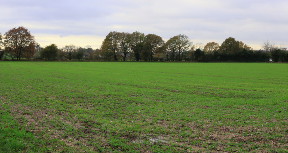 The new homes would be built on farmland off Old Croft Road (image via planning application)