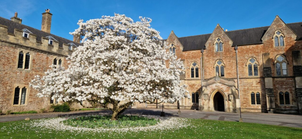 Wells family open day at Bishop’s Palace (Photo: The Bishops Palace) 