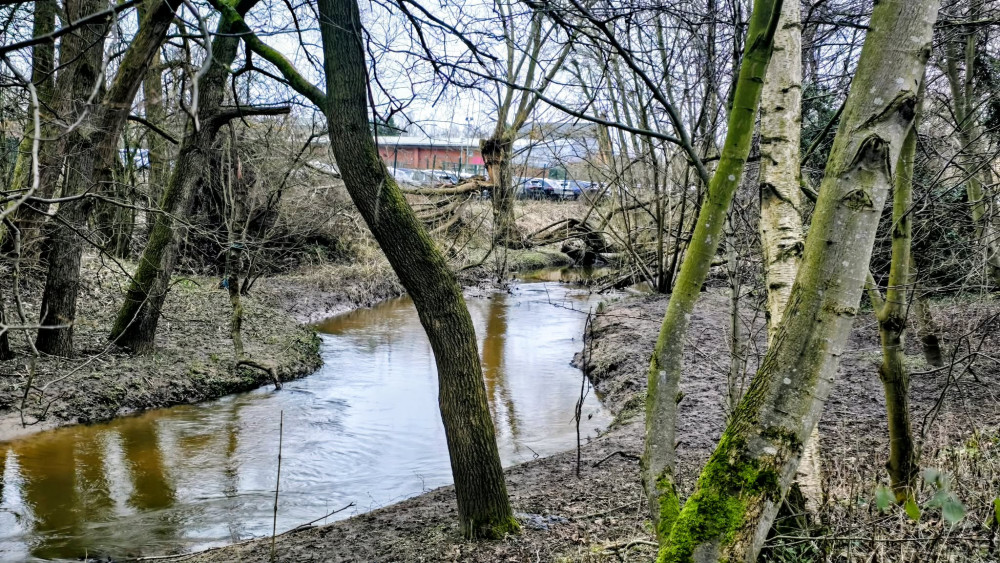 Valley Brook flowing between Crewe Business Park and Beswick Drive (Photo: Ryan Parker).