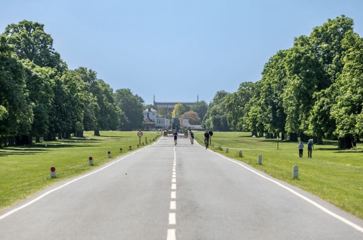 The gate replacement will take place at  at either end of the vehicle restricted length of Chestnut Avenue at Bushy Park  (Credit: Bushy Park)