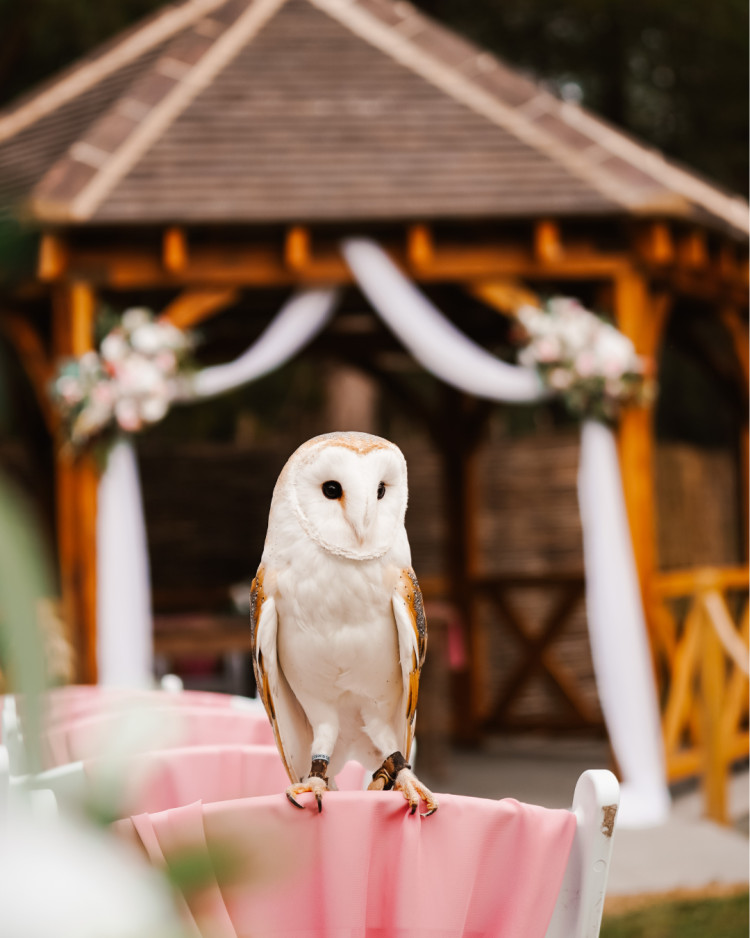 Explore the picturesque woodland wedding venue The Glade in Rosliston (Photo: The Glade)