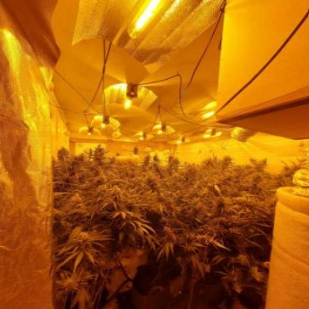 Inside the property in Tilbury. 