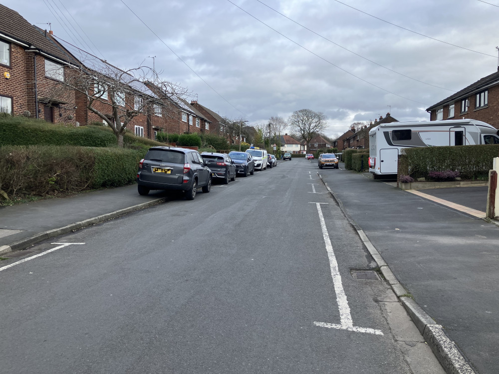 Plans have been shared for 250 new homes on land at Hyde Bank Meadows in Romiley, near Gotherage Lane (Image - Declan Carey LDRS)