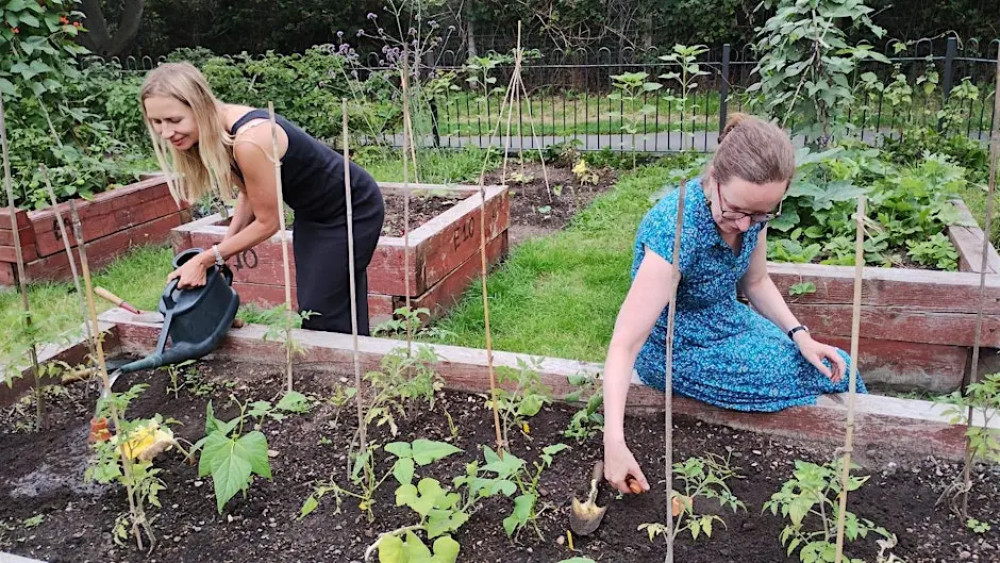 Workshop: Growing with nature