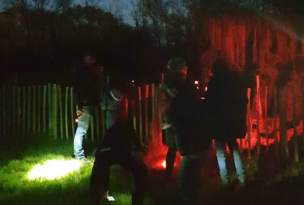 Eco-Explorers Bat Walk for 8-14 Year Olds