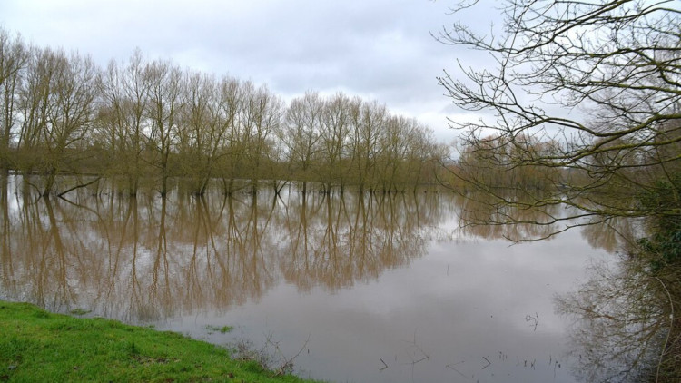 River Penk flood plain (image via Rod Grealish)