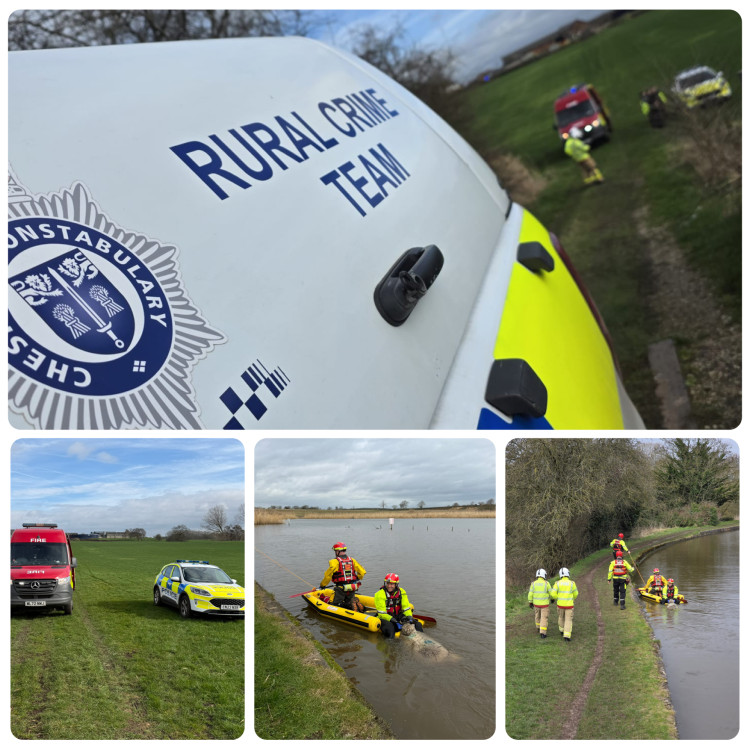 Cheshire Police's rural crime team are urging dog owners to keep their animals on a lead after a suspected livestock attack in Middlewich. (Photo: Nub News) 
