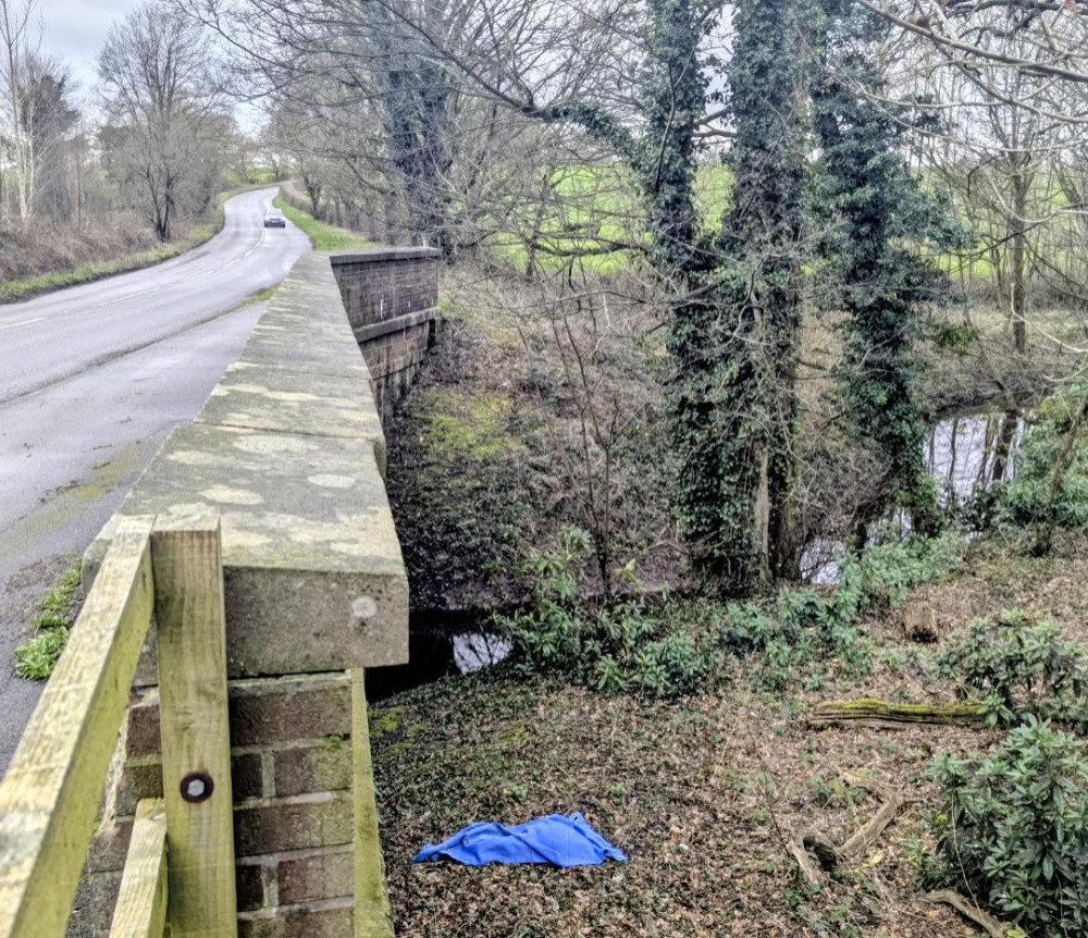 The deceased body of a neglected Akita dog was found in woodland to the side of Old Park Road, Crewe Green (Photo: RSPCA).