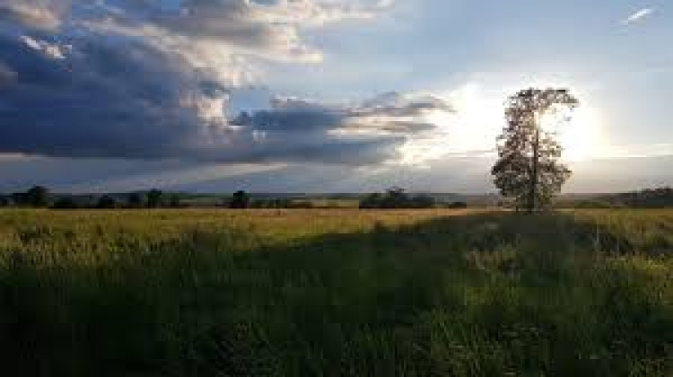 Priory Park, Hitchin 