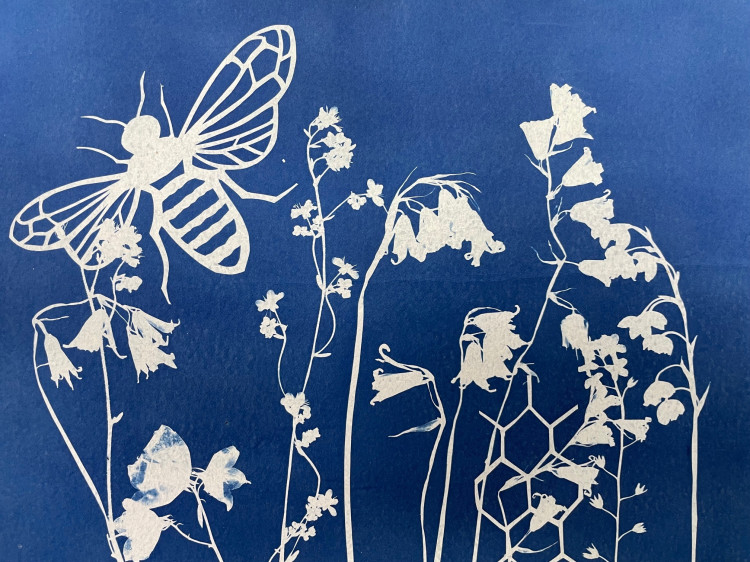 Cyanotype Printing With Papercutting