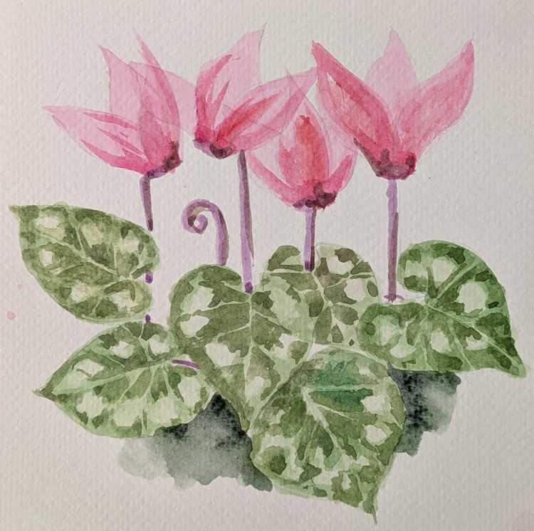 Watercolour Painting Workshop