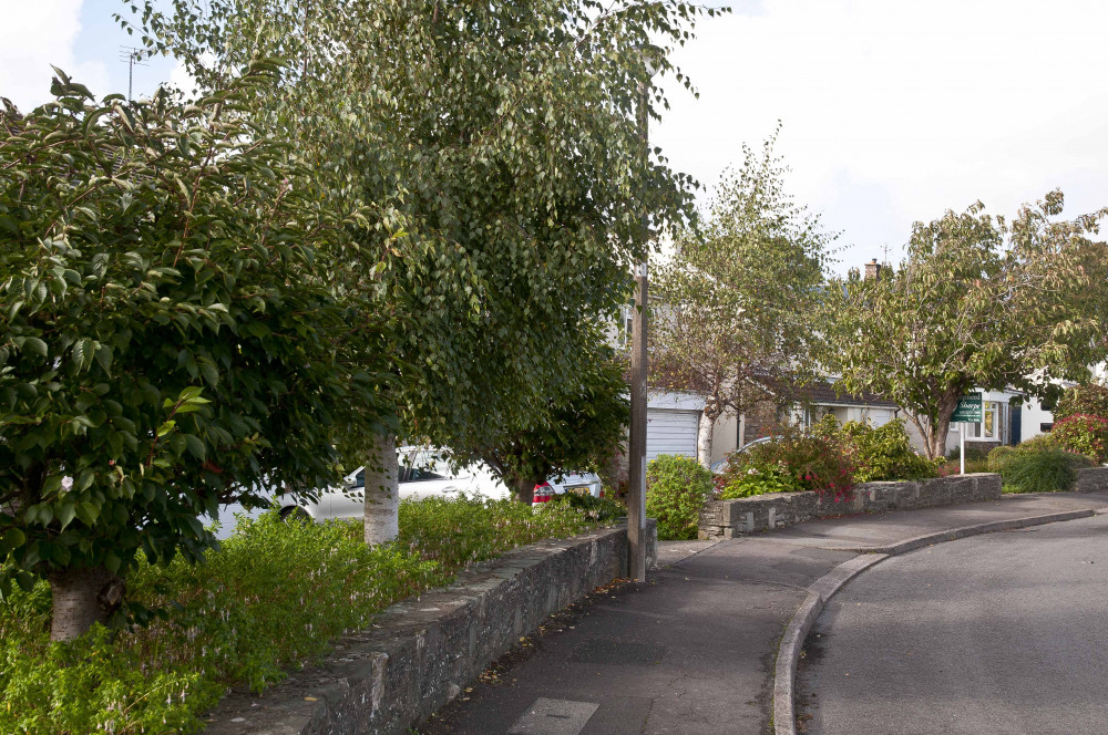 Penarth Civic Society Tree Forum Anaual Update