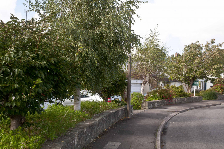 Penarth Civic Society Tree Forum Anaual Update