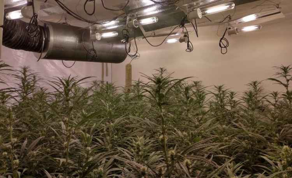 The house was unsafe because of the electrics used for the grow. Photos: Swadlincote SNT