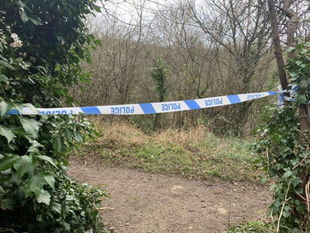 The bodies of the teenagers were found at Bothenhampton nature reserve in Dorset on 25 January 2022