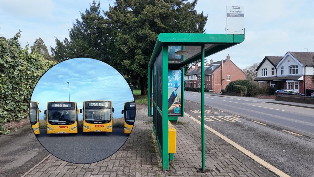 The service made the theme park accessible for people without a car (image via D&G Bus/Livia Gregor)