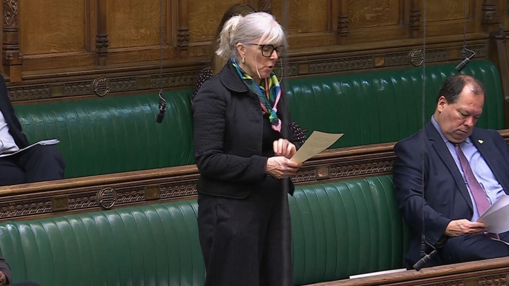 Stoke-on-Trent South MP Allison Gardner raising the issue of monkey dust in the House of Commons (Image via parliamentlive.tv)
