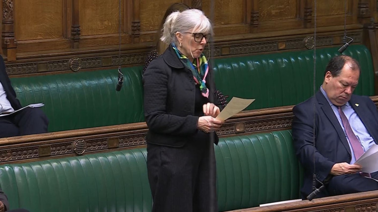 Stoke-on-Trent South MP Allison Gardner raising the issue of monkey dust in the House of Commons (Image via parliamentlive.tv)