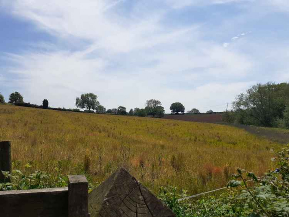 The area off Oak Close was to have 70 new homes built on it