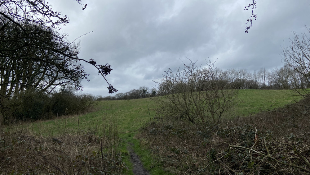 Land north of Pepper Street, Keele where six applications have been submitted seeking permission in principle to develop the Green Belt land (image via Phil Corrigan)