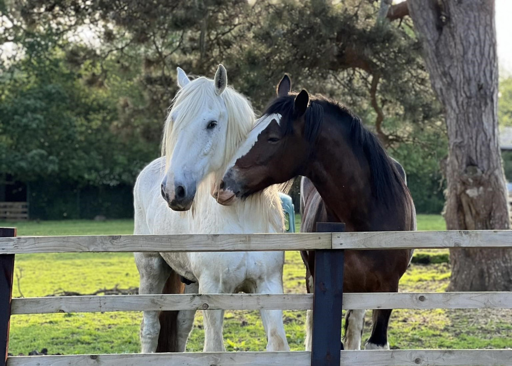 Mums go free this weekend for Mother's Day at Rutland Farm Park (Photo: Rutland Farm Park)