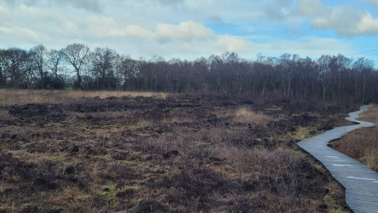A huge wildfire broke out at Danes Moss Nature Reserve earlier this week (Credit: CWT)