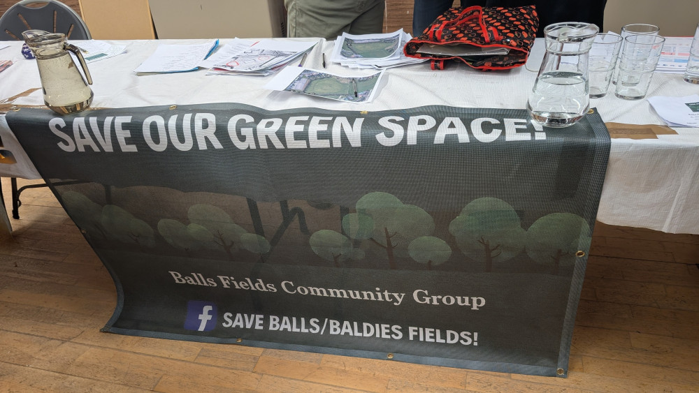 Campaigners argue development should not proceed on the land at Balls Fields (image via LDRS)