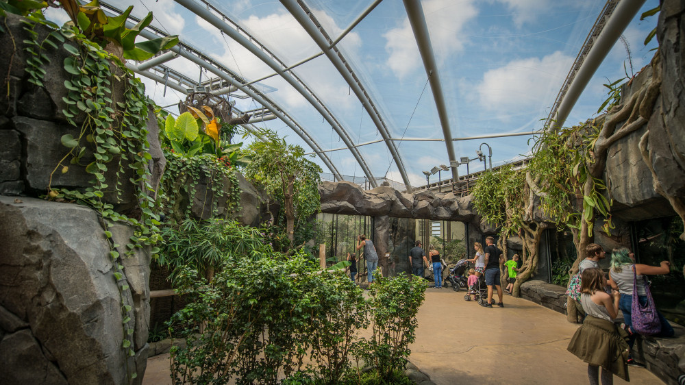 A show garden from this year's RHS Chelsea Flower Show will be given a permanent home at Chester Zoo (Image via: Chester Zoo)
