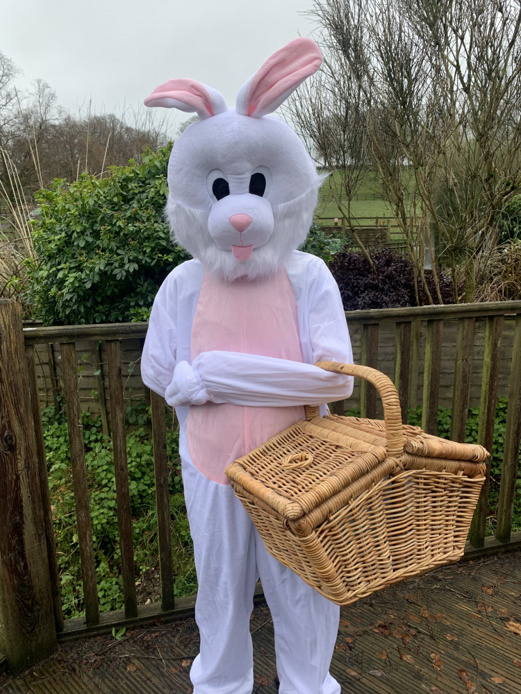 Ferne's Easter Bunny