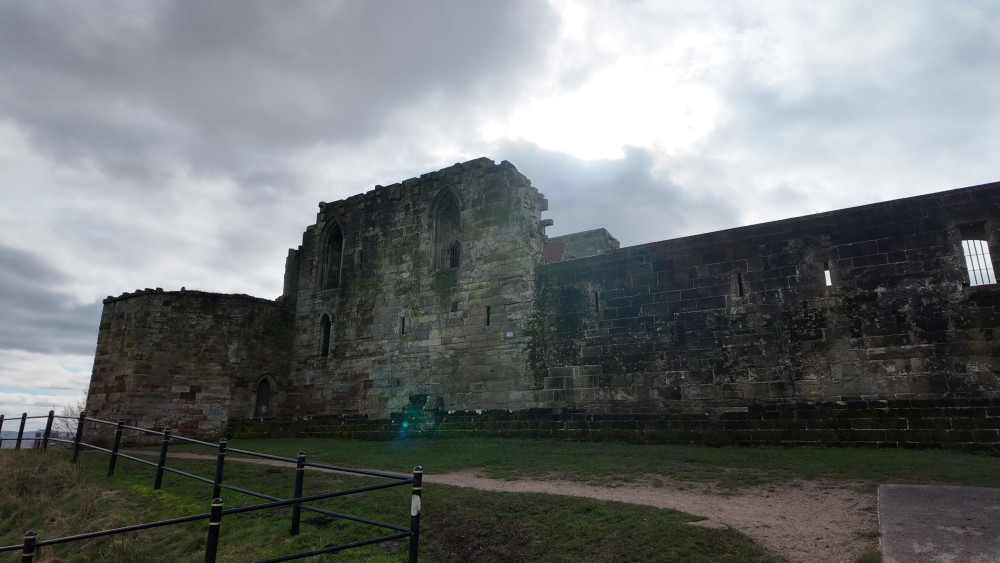 Are you looking to try something new? (image via Livia Gregor)