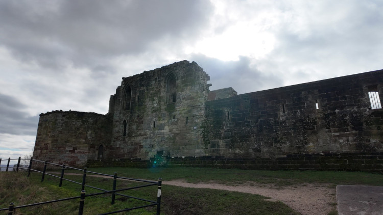 Are you looking to try something new? (image via Livia Gregor)