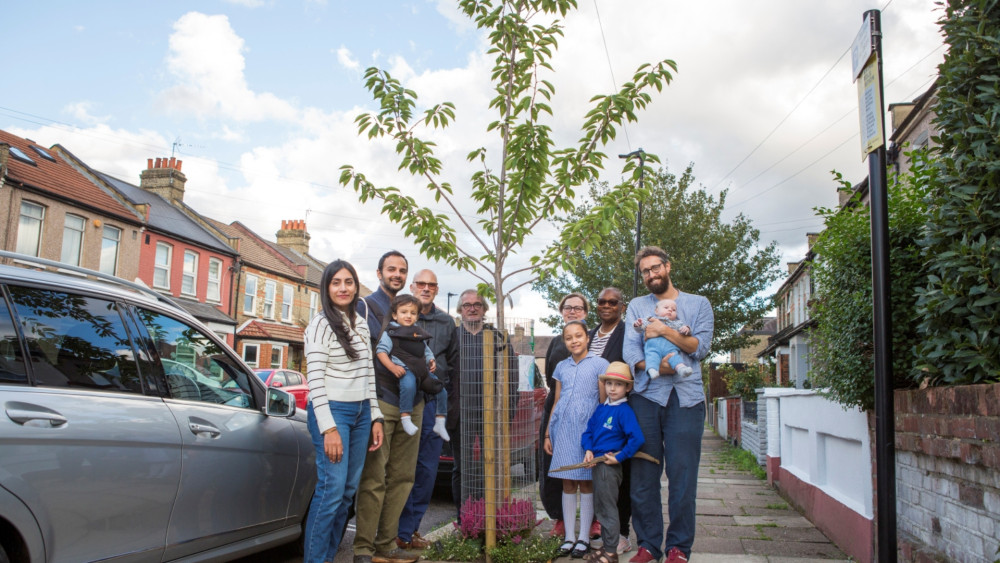 Residents in Twickenham and across the borough can sponsor new trees through the Trees for Streets programme (credit: Trees for Cities).