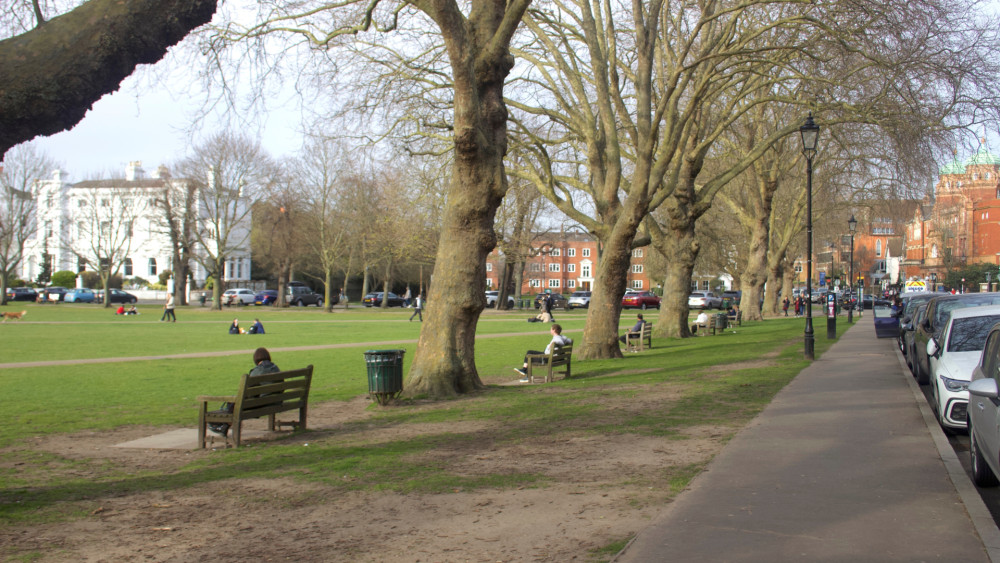 Residents in Richmond and across the borough can sponsor new trees through the Trees for Streets programme (credit: Nub News).