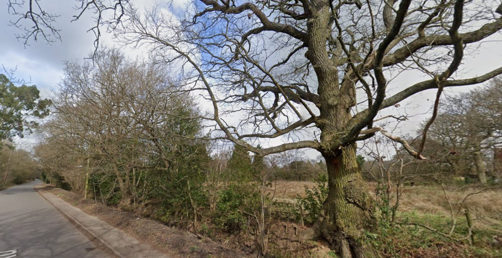 The homes will be built off School Road (image via Google Maps)