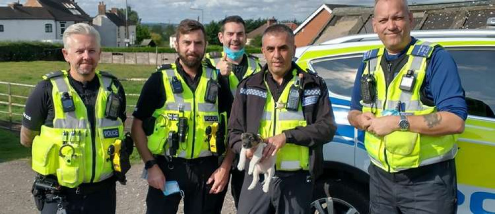 The SNT Team following the rescue of the animals