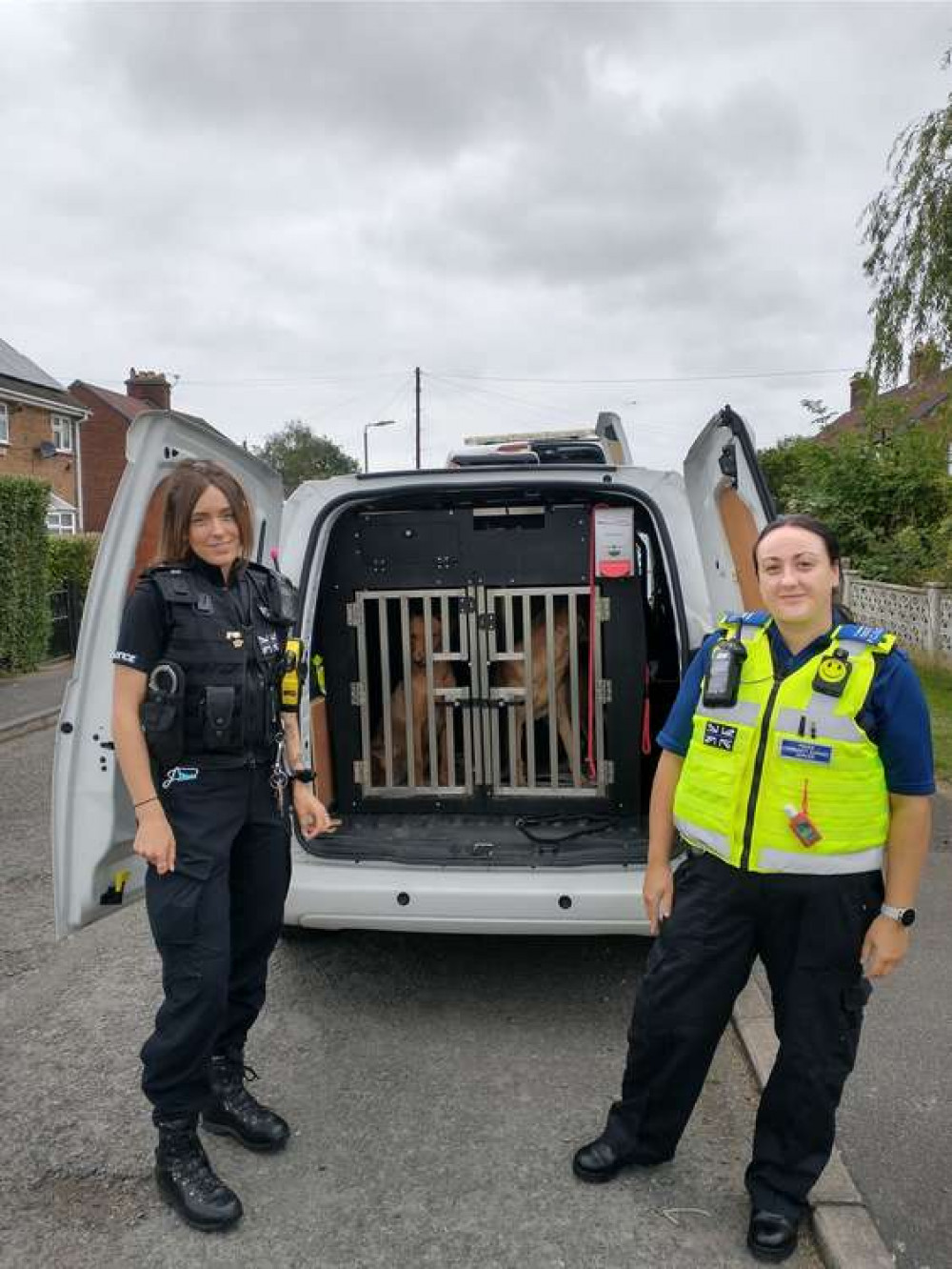 Police and dog control took them away from the property