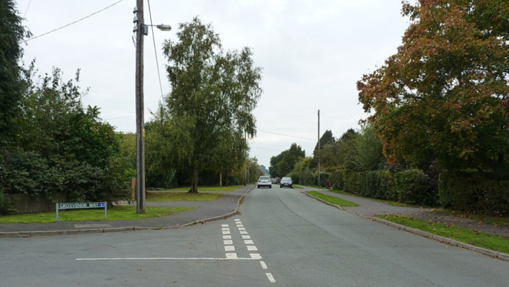 The development could lead to mature trees being uprooted (image via Richard Law)