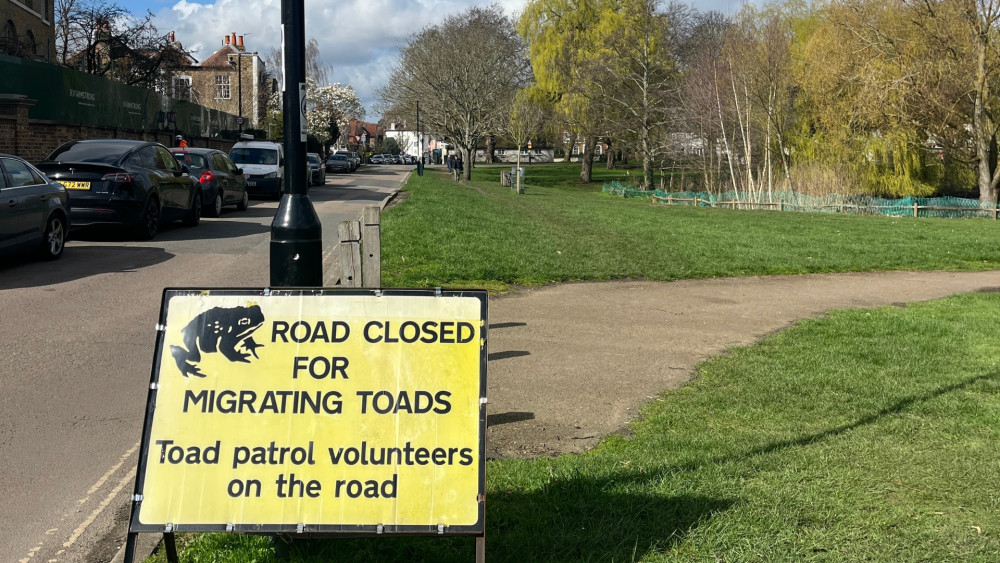 Road closure sign for migrating toads in Ham (credit: Charlie Speed).