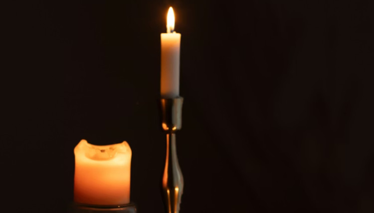 Celebrate the start of spring in wonderful gothic style at this Stockport Alternative Market on Sunday 22 March (Image - Unsplash)