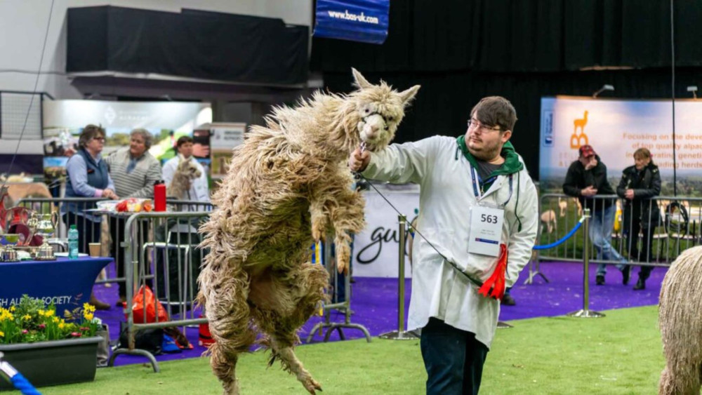 All the exciting stuff going on in Stafford this weekend (image via BAS)