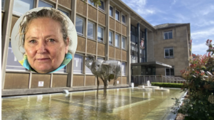 Warwickshire's Cllr Anne-Marie Sonko faces criticism for remarks about Urdu during a council debate, sparking division and calls for respectful discourse (image via Nub News/ WCC) 