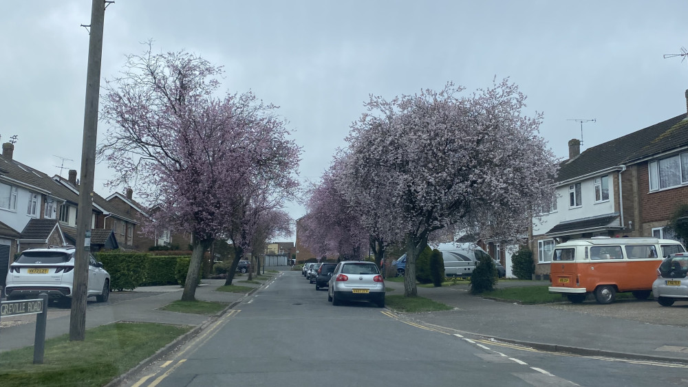 Sign up to our free weekly newsletter (image by Nub News)